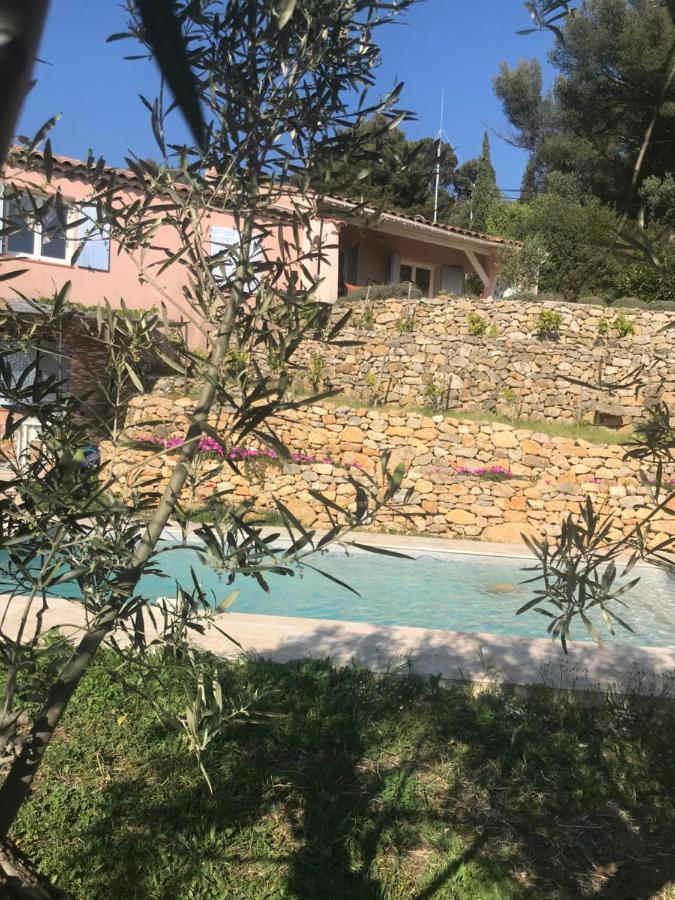 Hauteurs De Toulon : Charmant Studio Piscine Exteriér fotografie